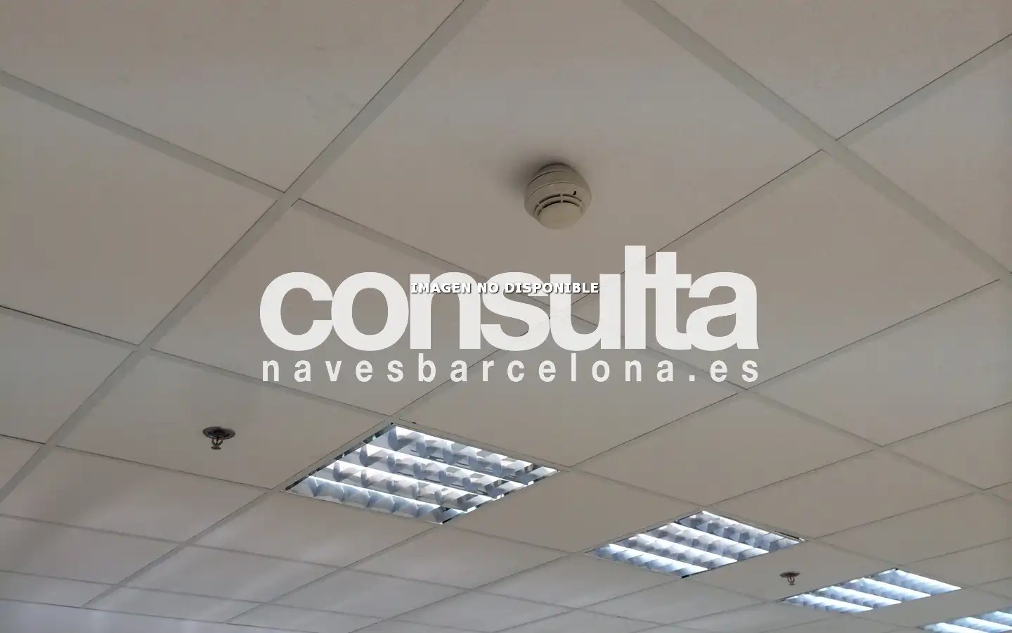 Fabrikhallen zur Miete in Viladecans