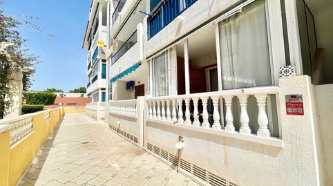 Photo 2 of Flat for rent in Los Europeos, Torrevieja