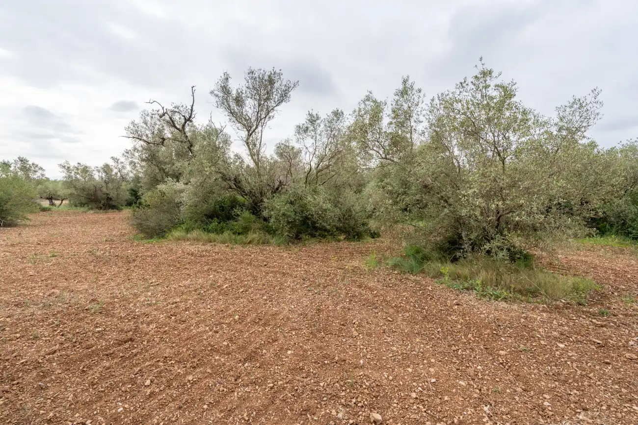 Terreno en venta en Mas de Barberans