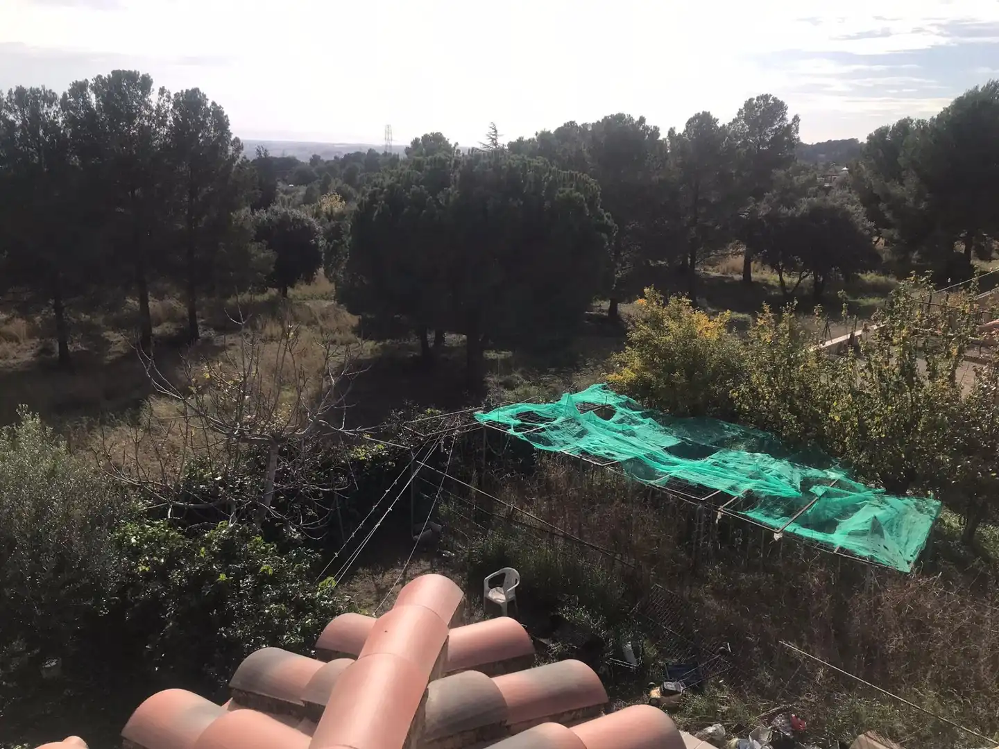 Terrain résidentiel à vendre à Almoster, imagen 10