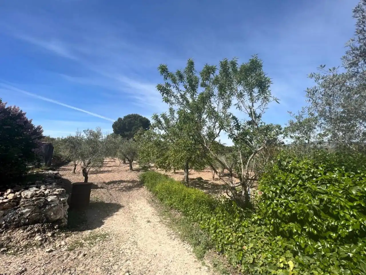 Chalet con jardín en venta en Calle Poligono, imagen 156