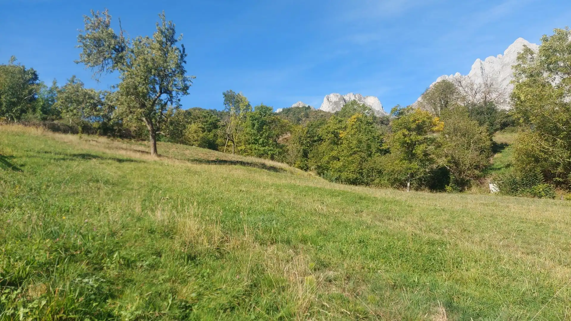 Terreni e lotti in vendita a Camaleño
