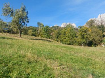 Terreno rustico in vendita a Camaleño
