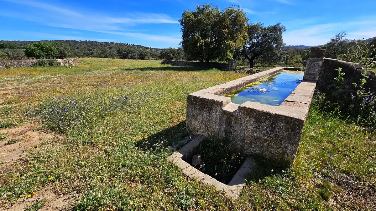 Swimming pool of Country homes for sale in Zufre  with Private garden