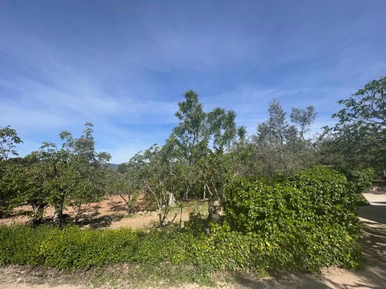 Chalet con jardín en venta en Calle Poligono, imagen 50