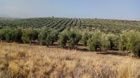 Terreno rústico en venta en pre. hacienda la laguna, Baeza, Jaén, immagine 2