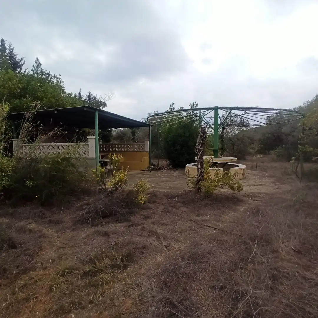 Finca rústica en venta en La Selva del Camp