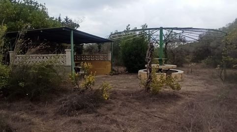 Foto 5 von Country house zum Verkauf in Burgà, La Selva del Camp, Tarragona