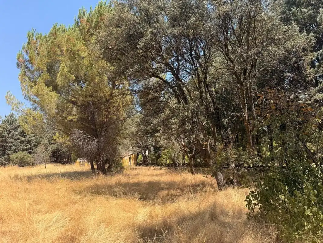 Residential land for sale in Camino de los Barrizales, imagen 5
