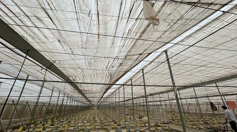 Photo 3 of Land for sale in Motril, Playa de Granada, Motril