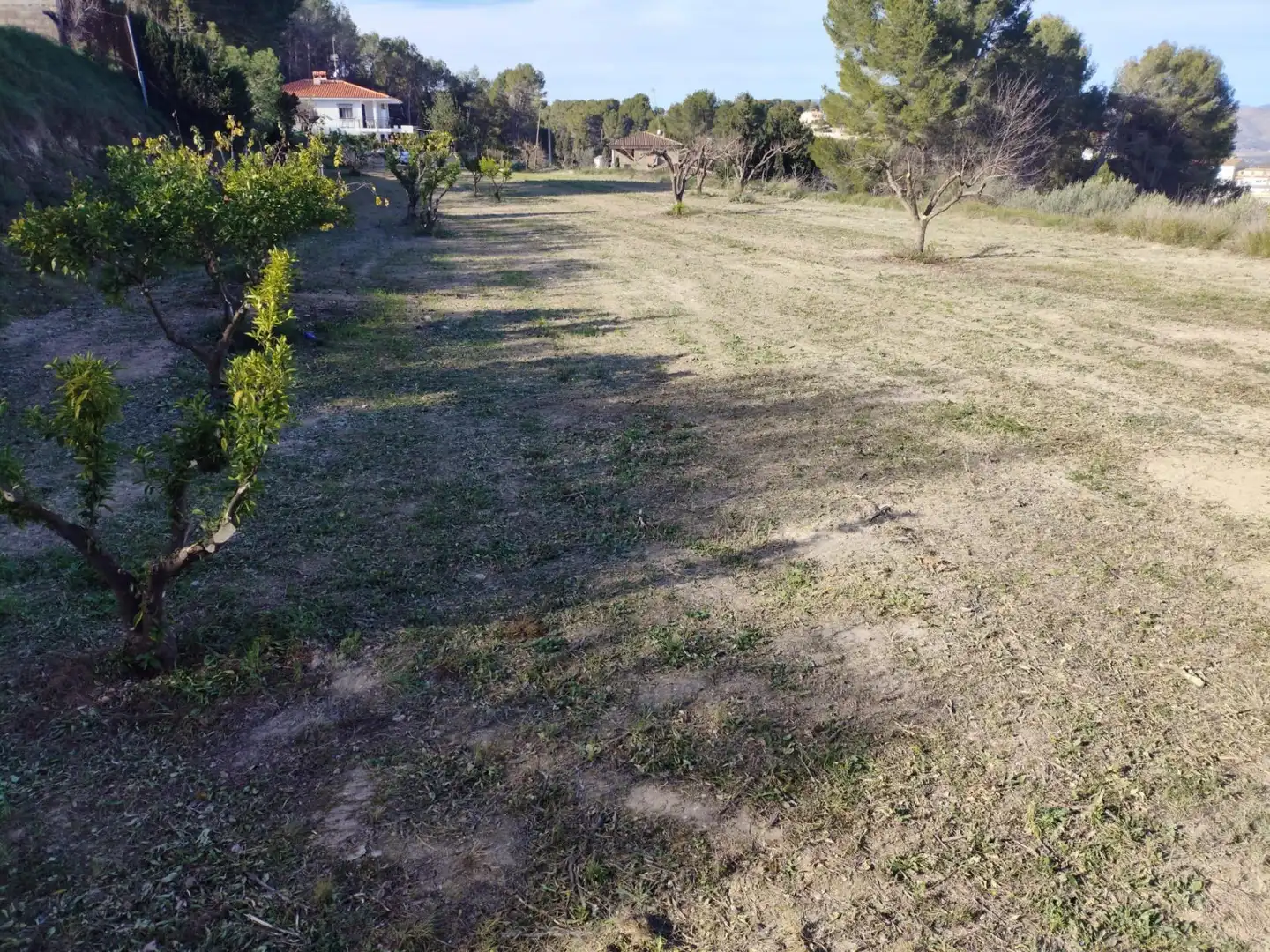 Terreno residenziale in vendita a Agullent, imagen 5