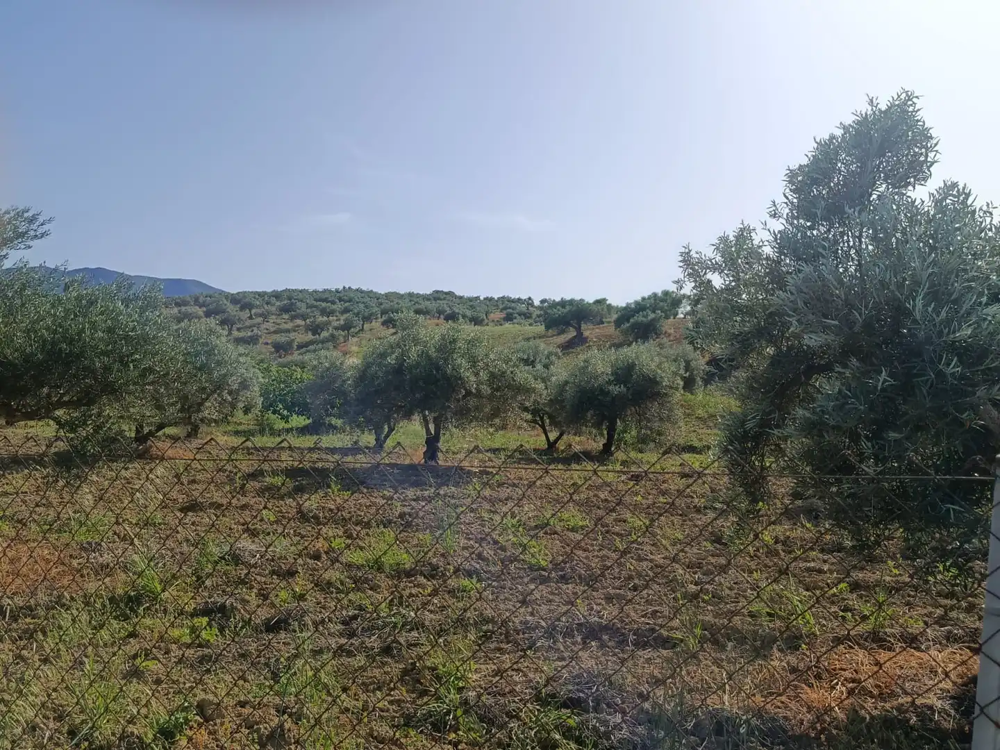 Terreni e lotti in vendita a Alquería - Torrealquería, imagen 17