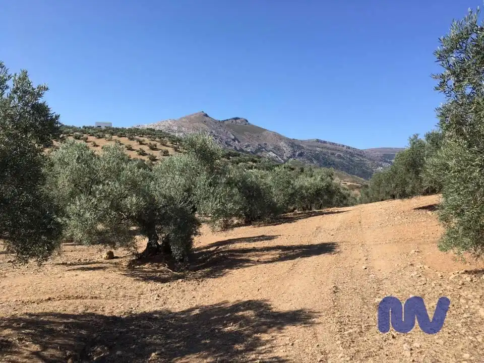 Terrenys i solars en venda a Partido Vega Baja, Valle de Abdalagís, imagen 4