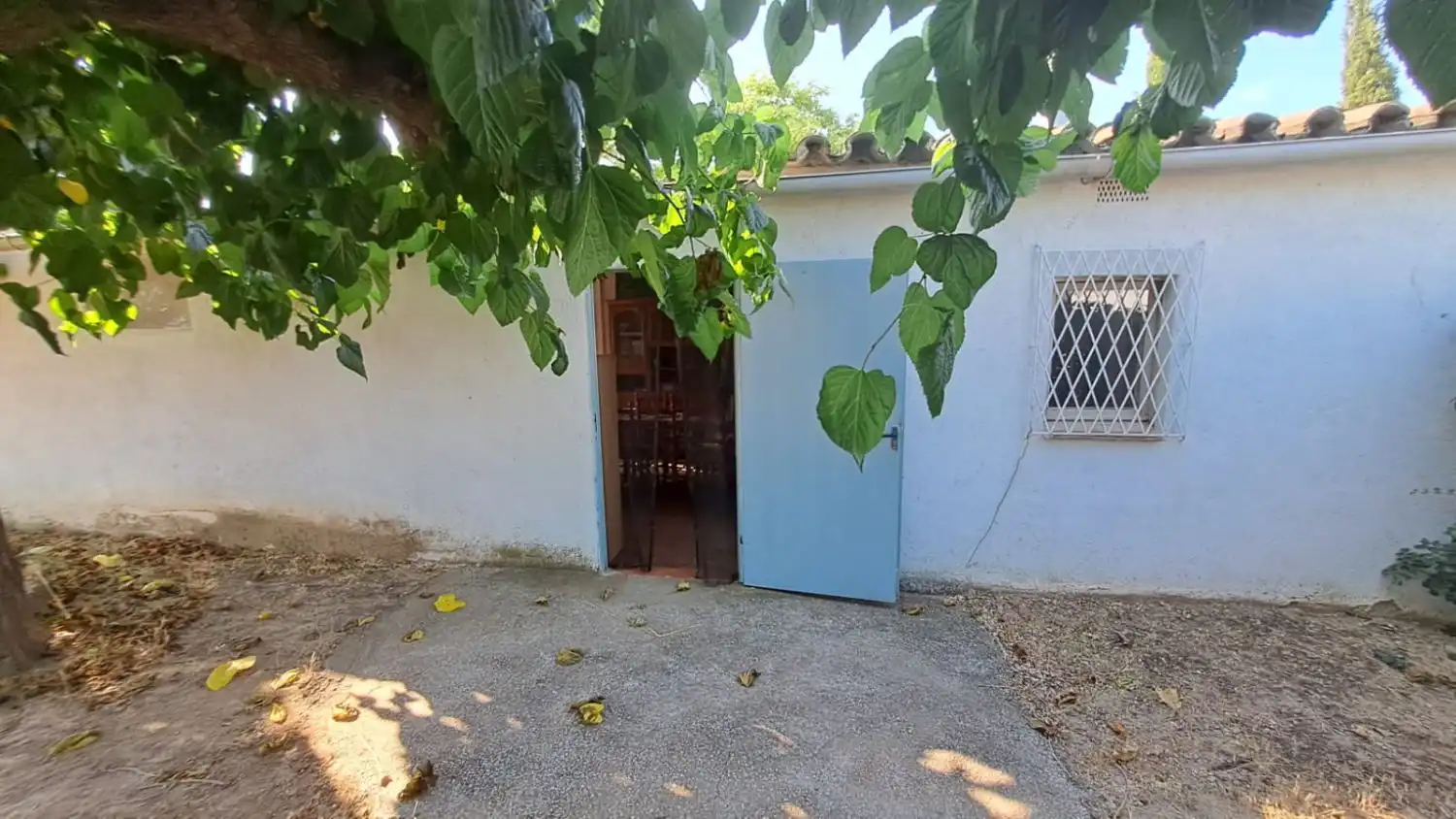Vista exterior de Finca rústica en venta en Constantí