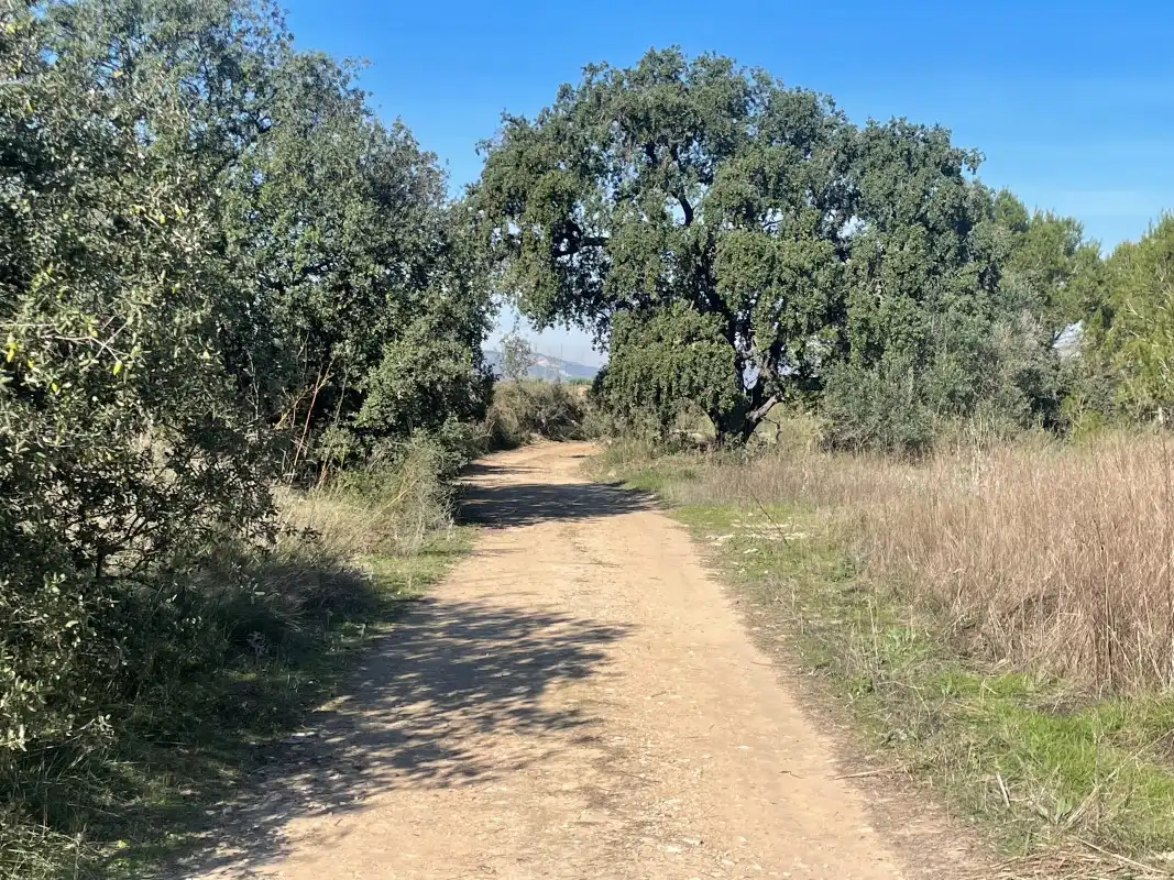 Vista exterior de Casa o chalet en venta en Otos con Jardín privado y Piscina