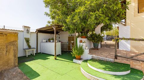 Foto 4 de Casa o chalet en venta en El Llano, Molina de Segura