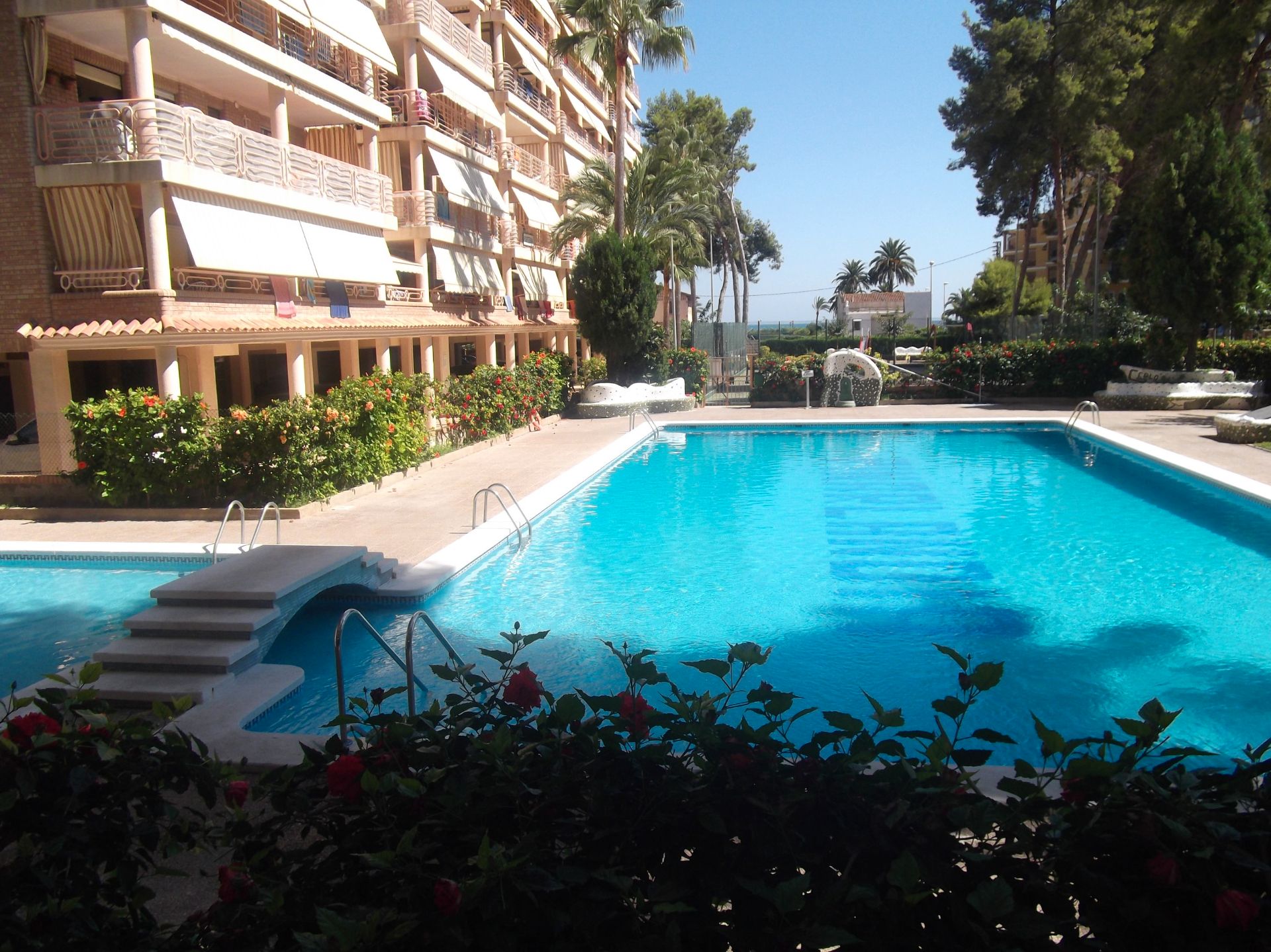 Swimming pool of Apartment to rent in Benicasim / Benicàssim  with Furnished, Oven and Washing machine