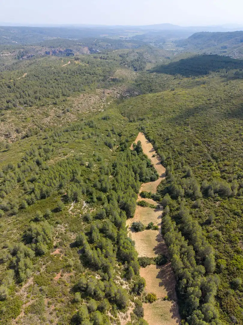 Maison rustique à vendre à Enguera, imagen 21