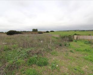 Casa o xalet en venda en Chiclana de la Frontera amb Traster