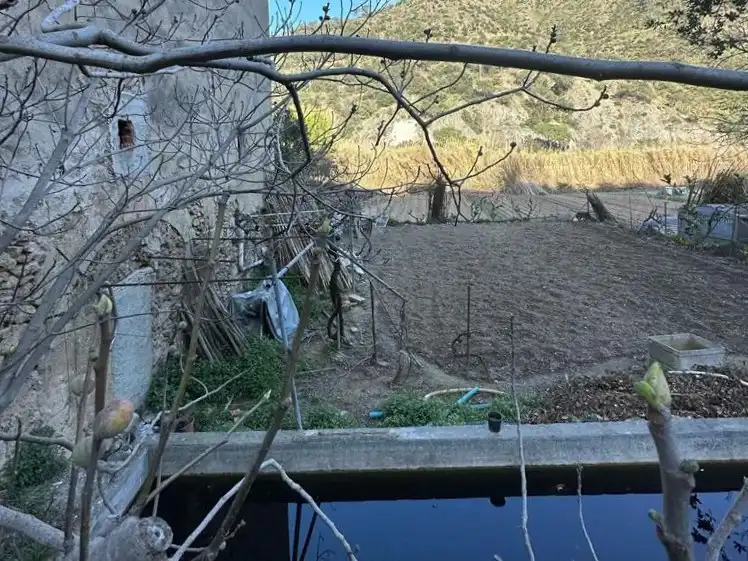 Casa amb jardí en venda a Font De La Reina, imagen 8