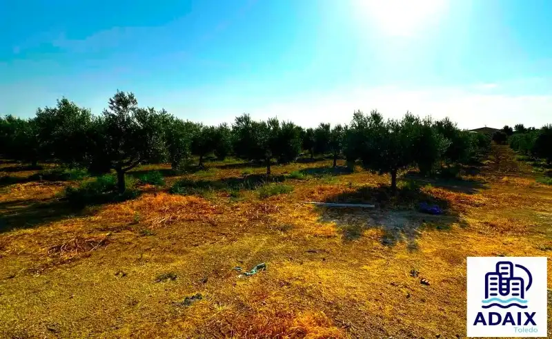 Finca rústica en venda en Gálvez amb Aire condicionat