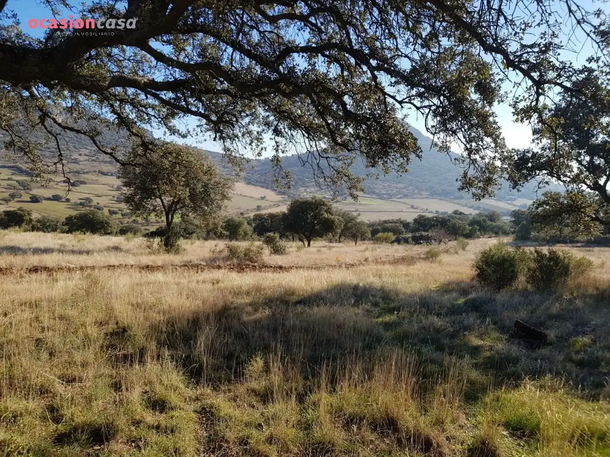 Casa o chalet en venta en Santa Eufemia