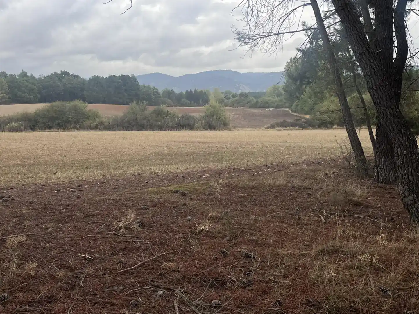 Finca rústica en venda en Villalba de la Sierra, Cuenca