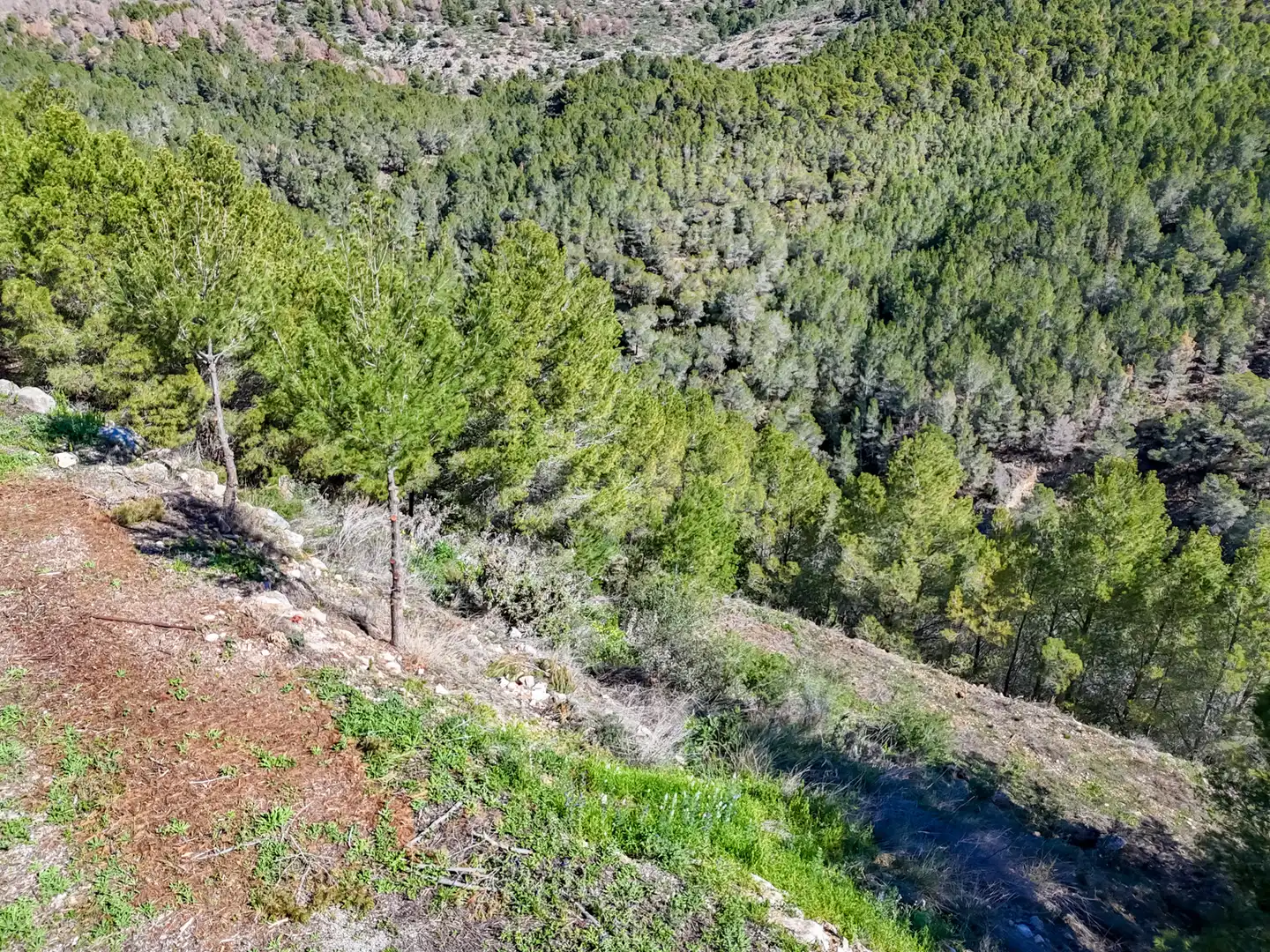 Terreny residencial en venda a Altea la Vella, imagen 47