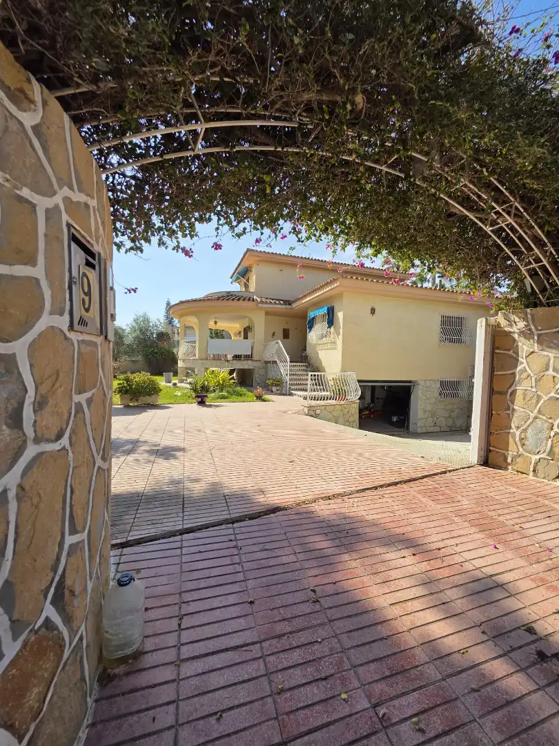 Vista exterior de Casa o chalet en venta en Mutxamel con Jardín privado, Terraza y Trastero