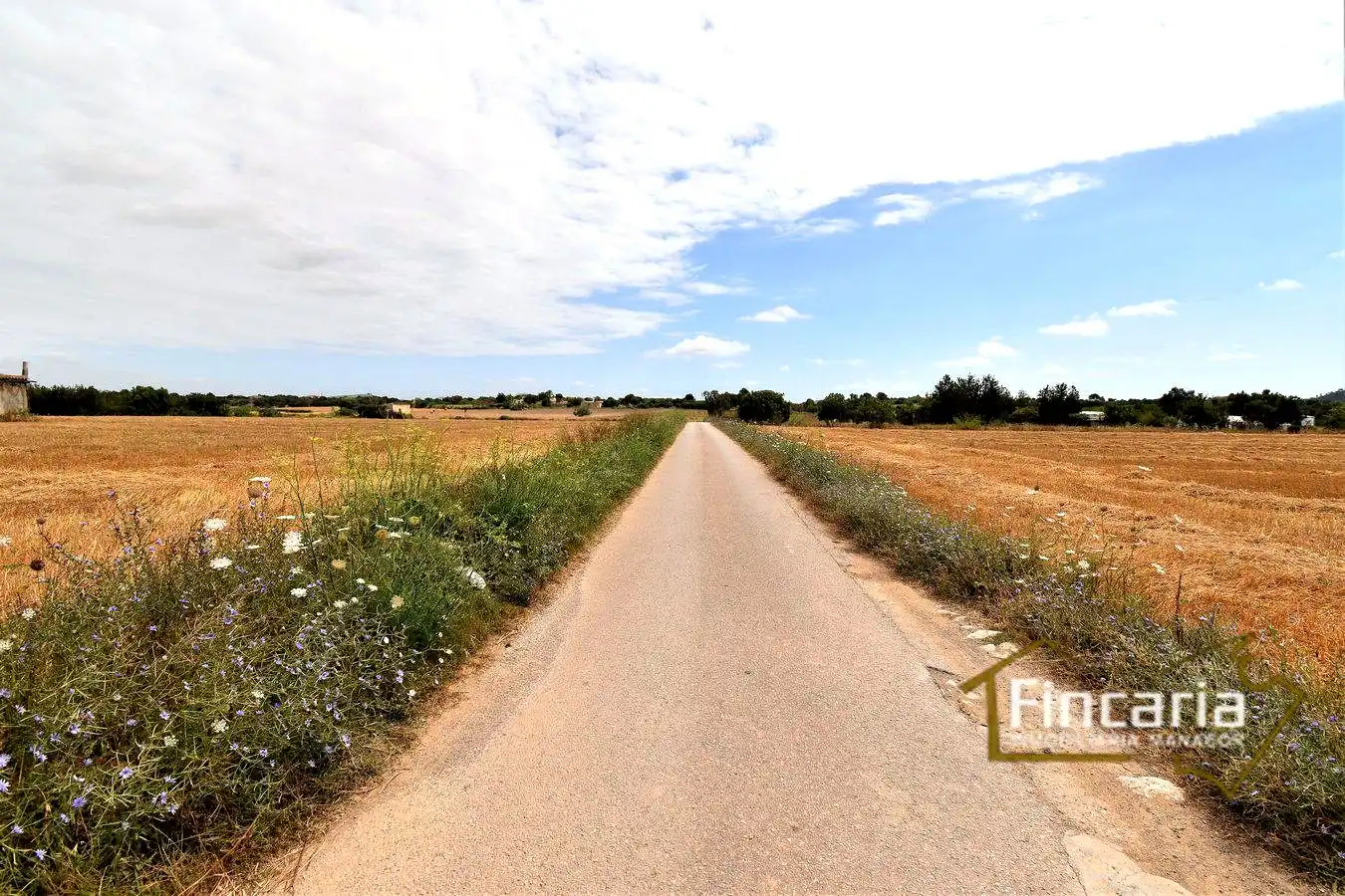 Rustikales Grundstück zum Verkauf in Camí son Moix, imagen 12
