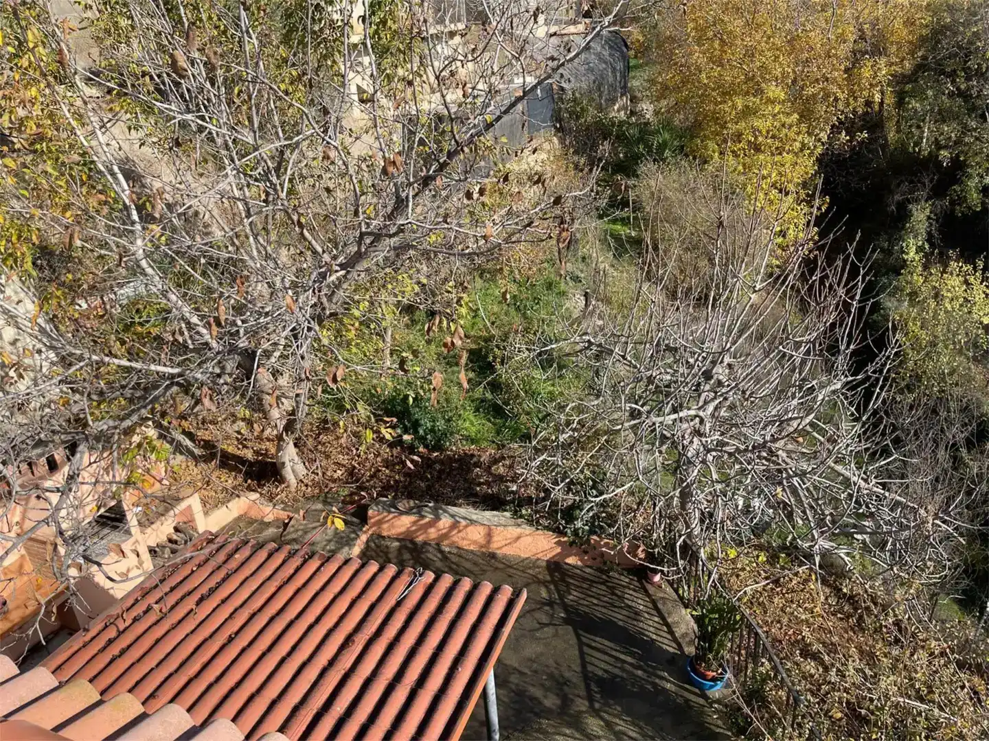 Jardí de Casa o xalet en venda en Cádiar amb Balcó