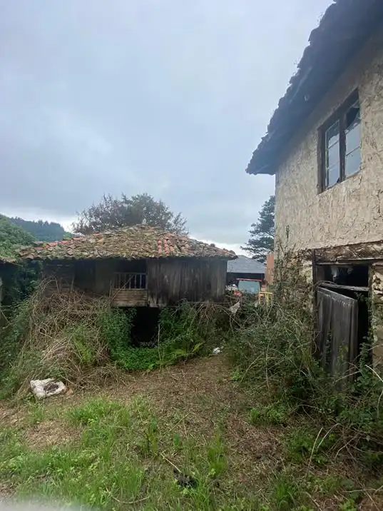 Vista exterior de Finca rústica en venta en Salas