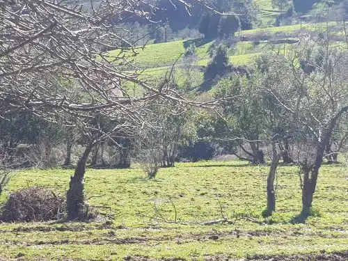 Grundstücke zum Verkauf in N/A, Lavandera