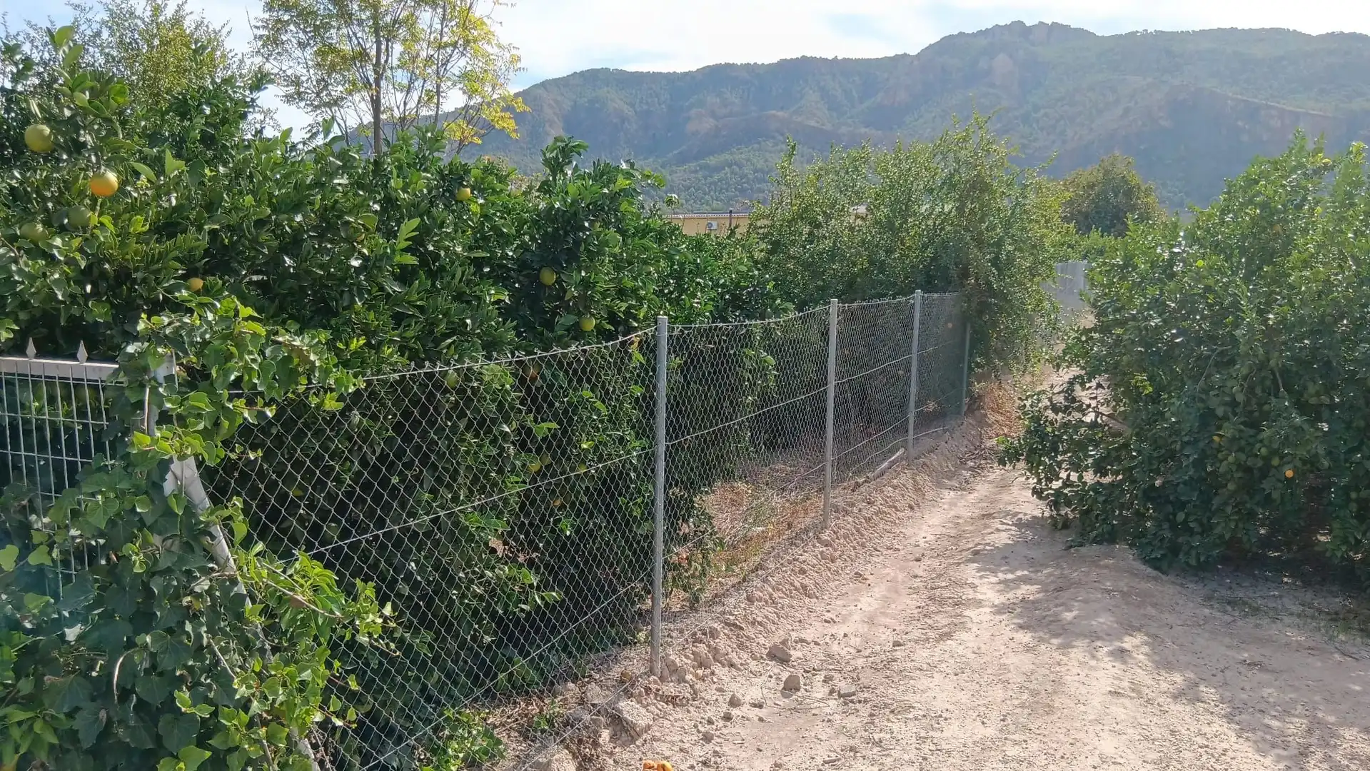Terrenys i solars en venda a Pedanías Este