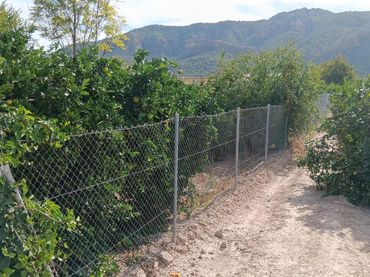 Rural land for sale in Pedanías Este