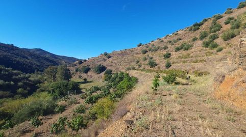 Foto 5 von Country house zum Verkauf in Totalán, Málaga