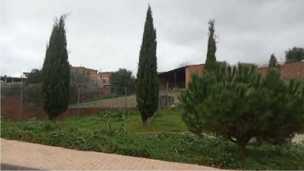 Terreny rústic en venda a CL EL VALLE Nº 15, imagen 4