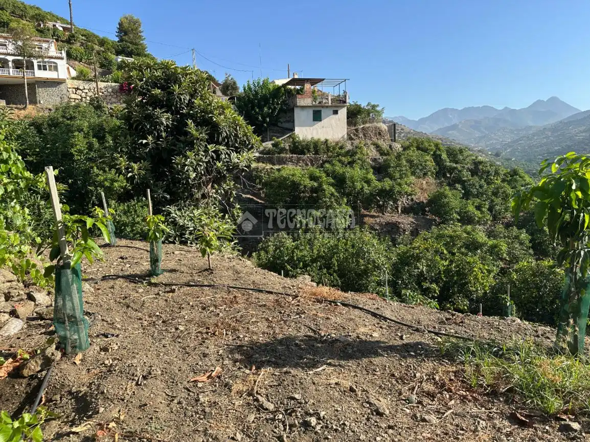 Terreni e lotti in vendita a Torrox Pueblo, imagen 12