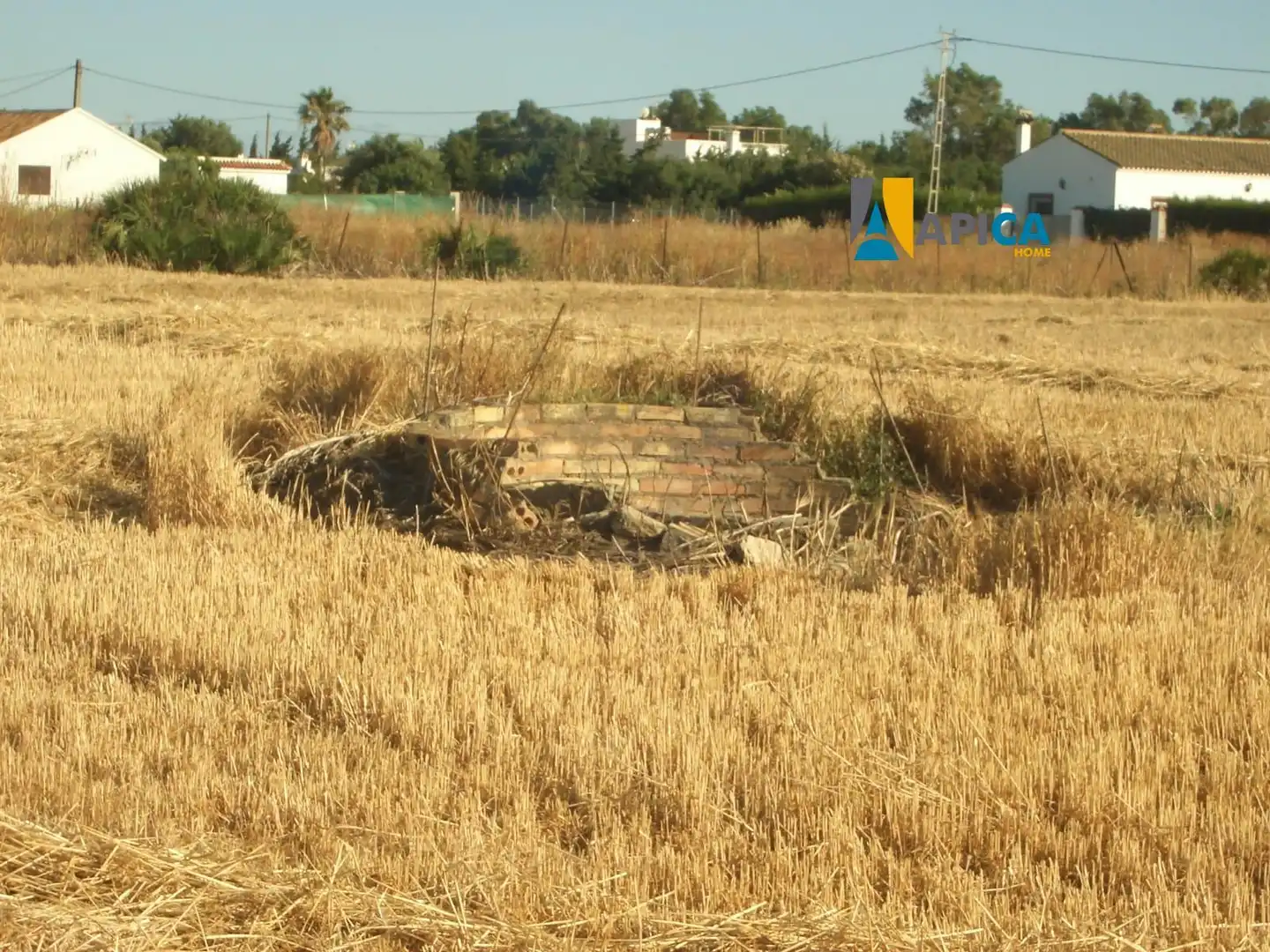 Terreni e lotti in vendita a El Palmar, imagen 3