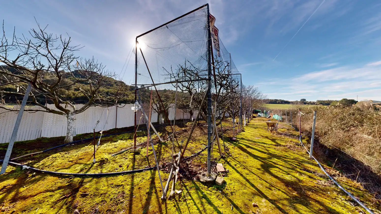 Rural land for sale in Tafalla - TERMINO JUNCAL, imagen 18