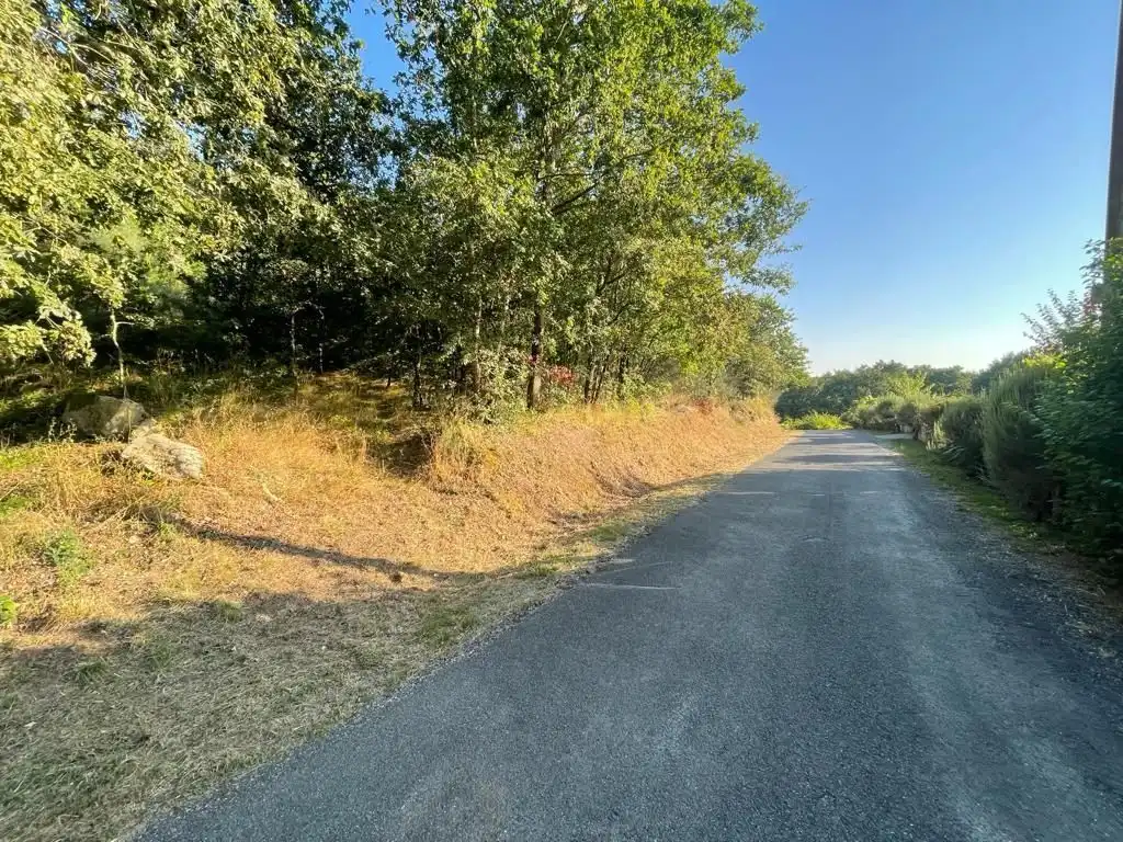 Residential for sale in O Pereiro de Aguiar