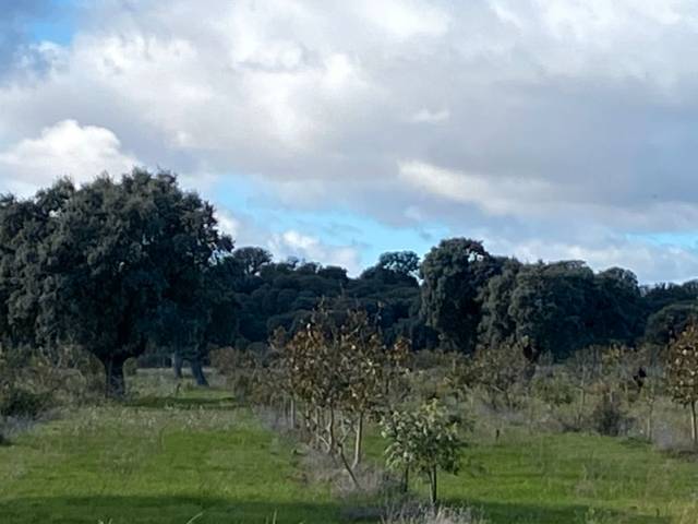 Terreno en Venta en ZA-P-1512, 1 en Santa Cristina de la Polvorosa