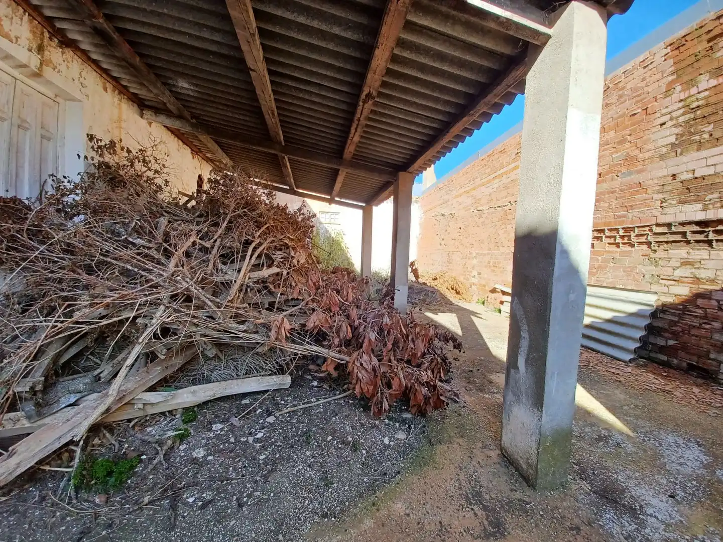 Vista exterior de Casa o xalet en venda en Minaya amb Calefacció, Jardí privat i Terrassa