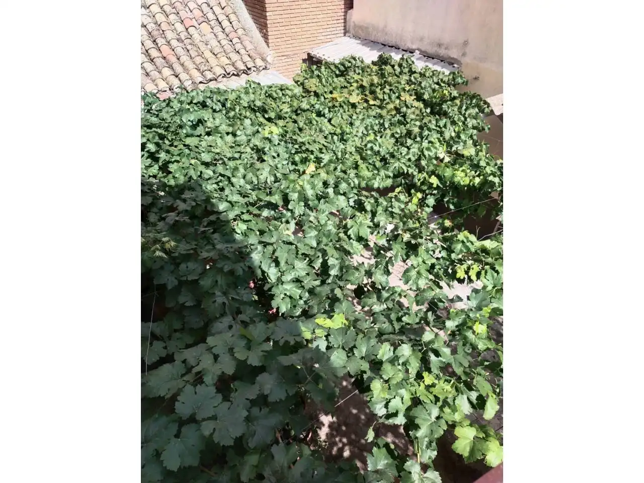 Casa en venta en Calle don quijote, imagen 42