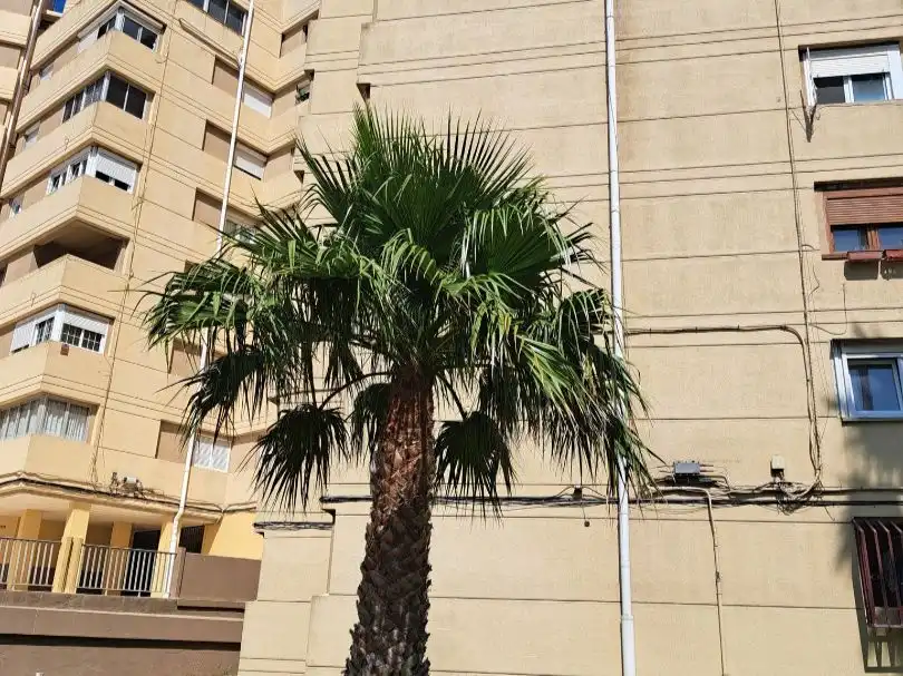 Xalet en venda a Avenida de Europa 36, imagen 3