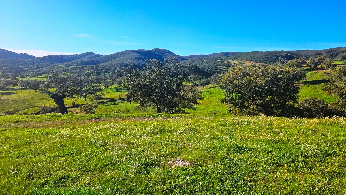 Terrenos y solares en venta en Aracena, imagen 40