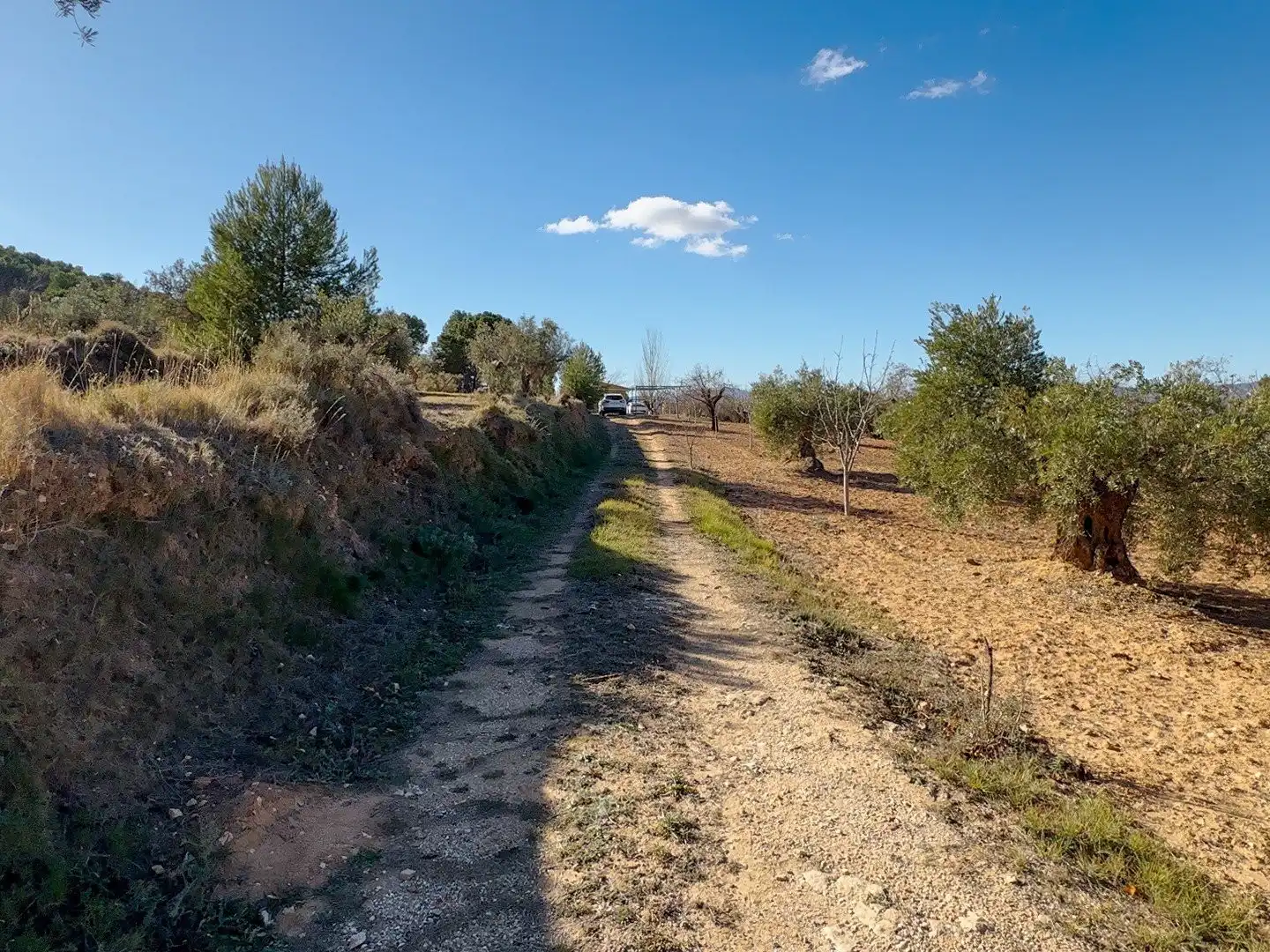 Terrenys i solars en venda a Ibi, imagen 13
