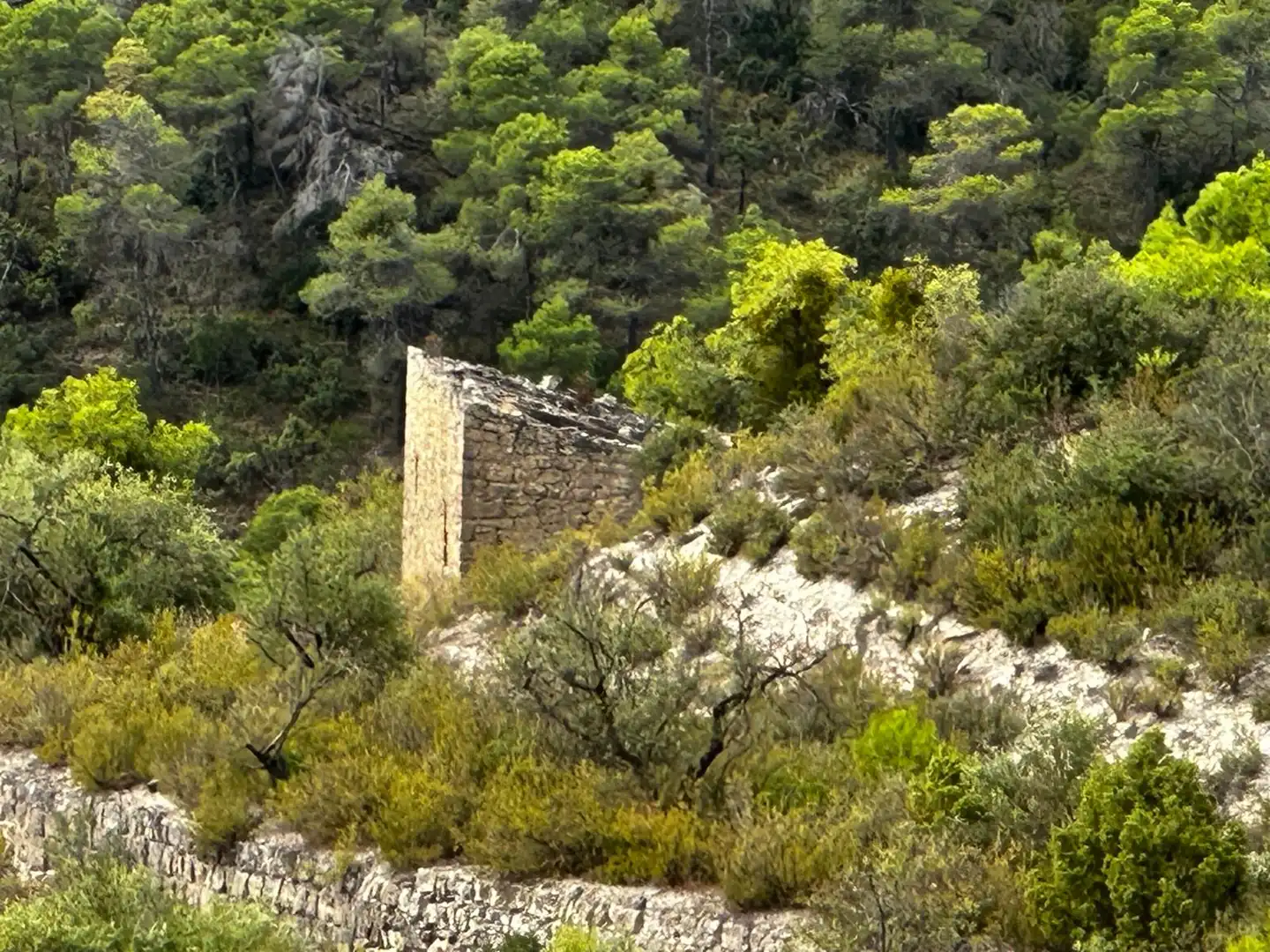 Terreny rústic en venda a Cervià de Les Garrigues, imagen 2