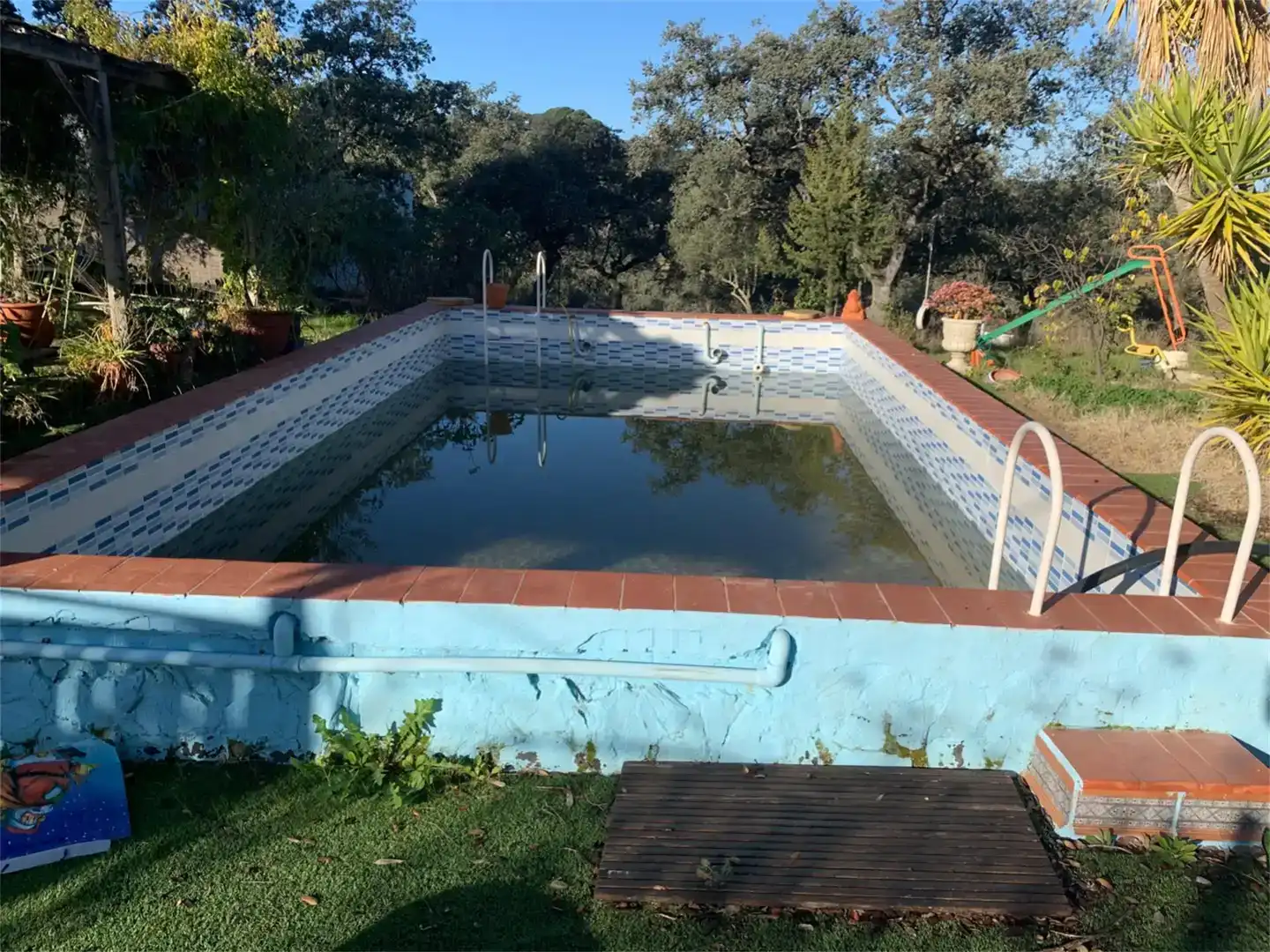 Piscina de Finca rústica en venda en El Ronquillo