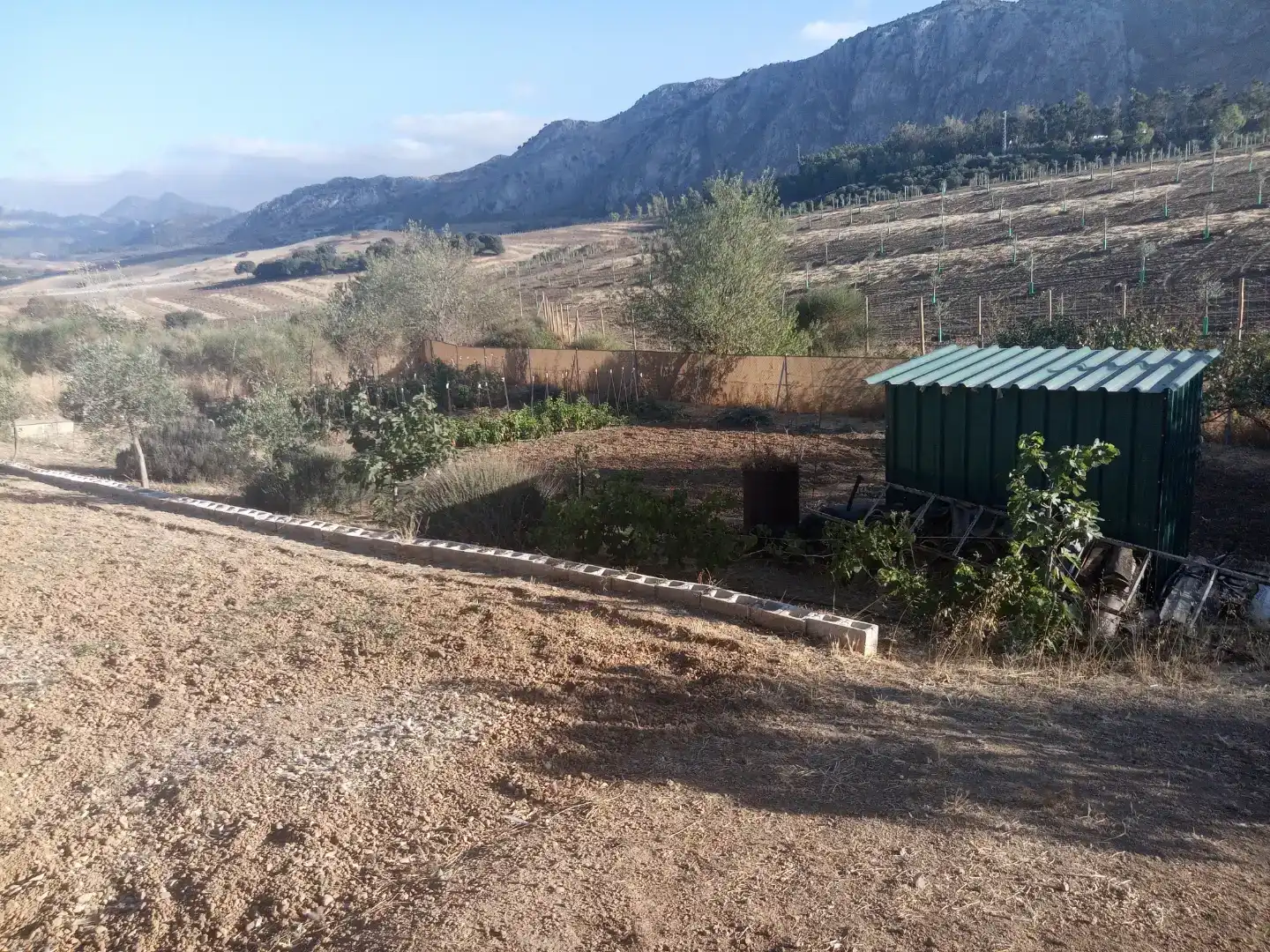 Casa o chalet en venta en Cueva de Menga